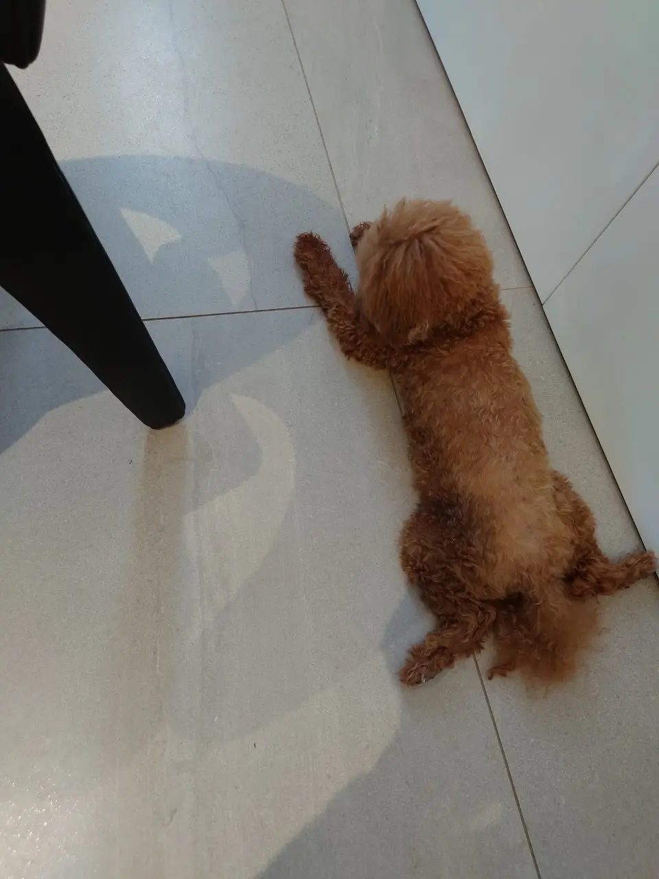 美味しすぎる韓国料理と最高のおもてなしにの画像_2