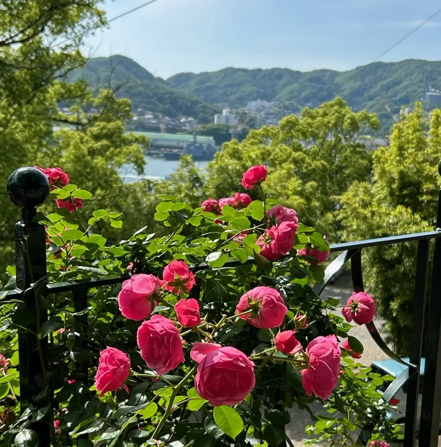 晴天の長崎散策の画像_9