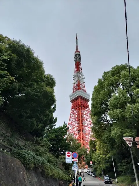 テラス席でランチと街歩きの画像_6