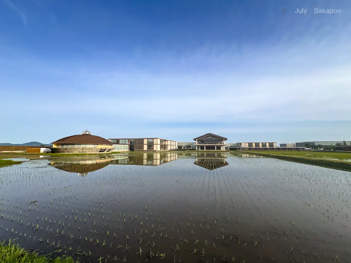 【さかぽんの冒険】ジェット✈️ジェット🛩の画像_5