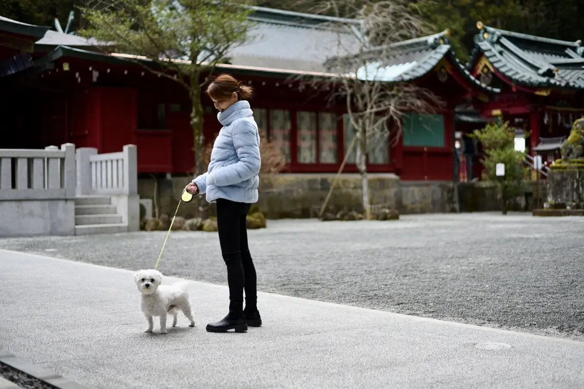 箱根神社へ新年のご挨拶⛩️の画像_6
