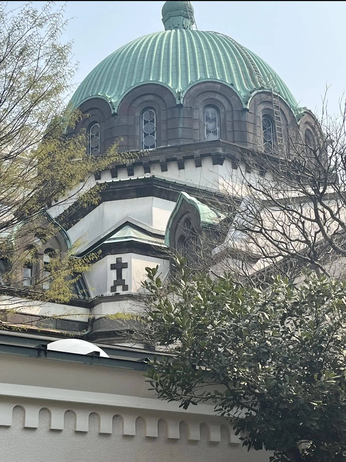 Jマダムと春のお出かけの画像_8