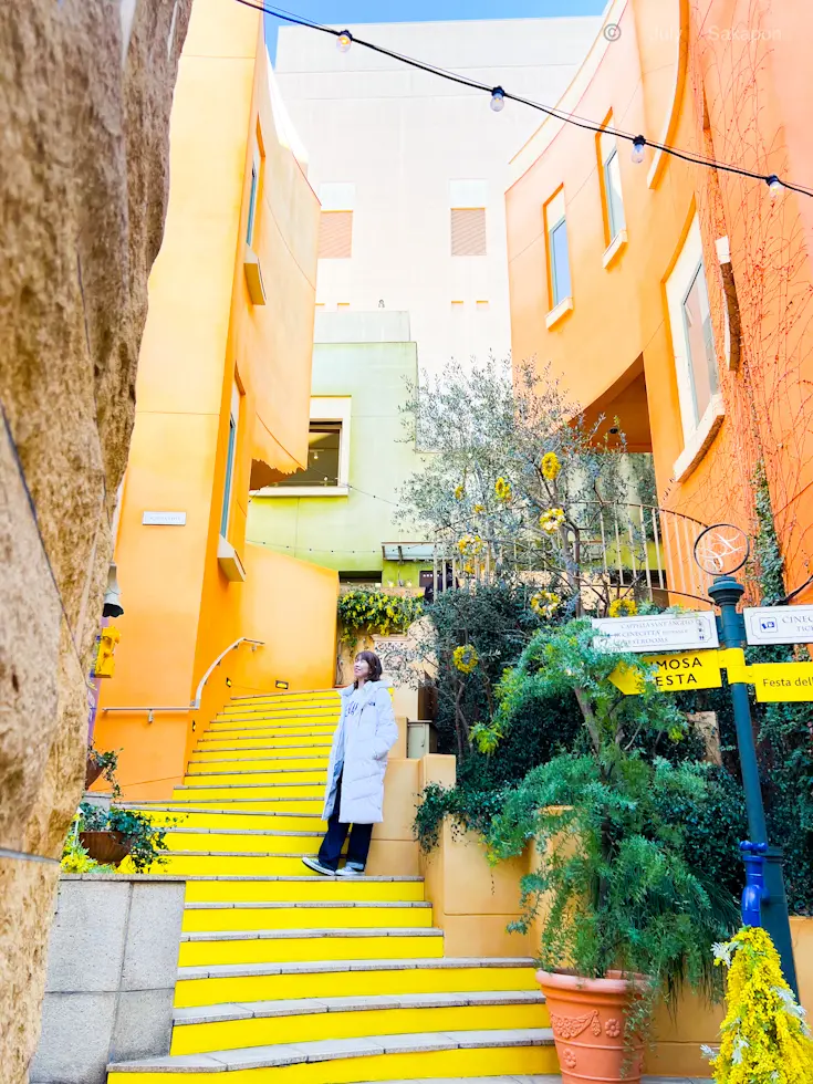 花爛漫🌼mimosa fes(ミモザフェの画像_2