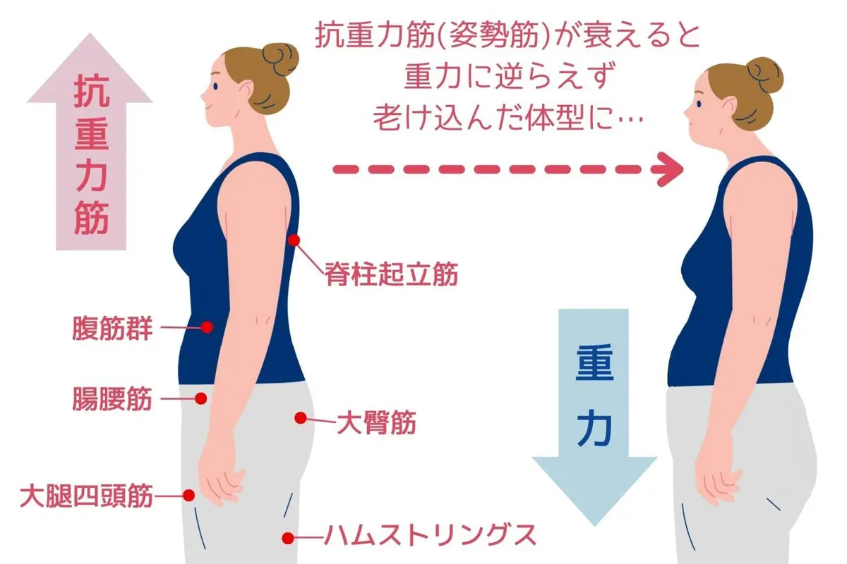 OurAge×Webエクラ　抗重力筋（姿勢筋）が衰えると重力に逆らえず老けこんだ体型に…