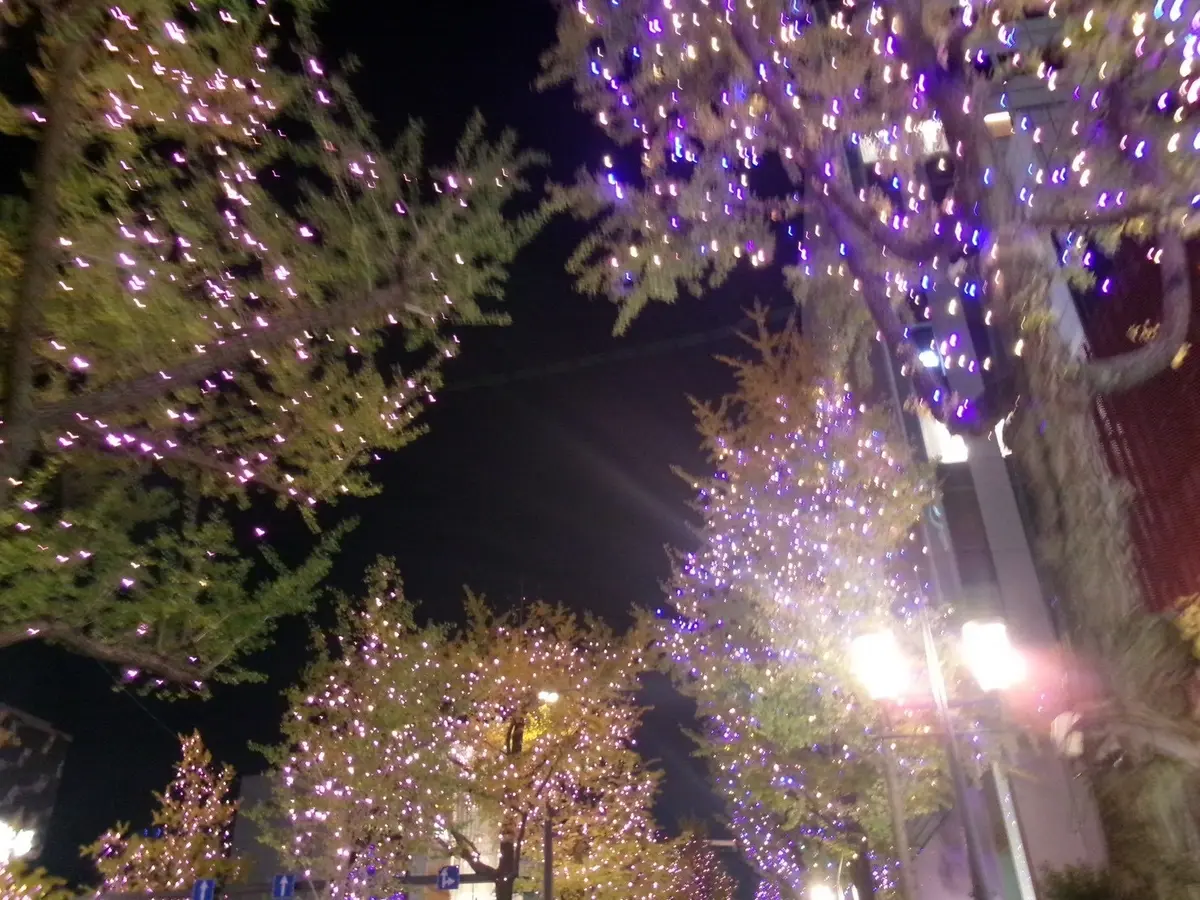 【ホテル日航大阪】　家族で鉄板焼きディナの画像_8
