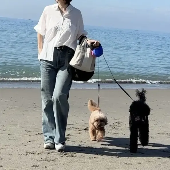 愛用の「白シャツ」で海への画像_5