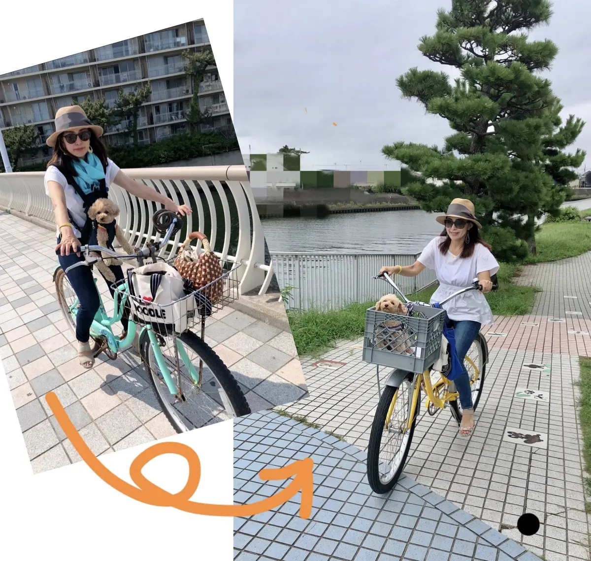 New自転車で愛犬とサイクリングの画像_2