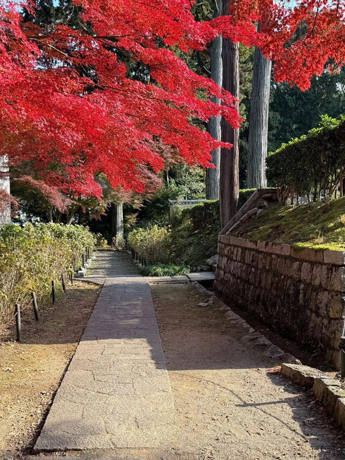 【大人の京都】寺院仏閣とお気に入りの秋のの画像_54