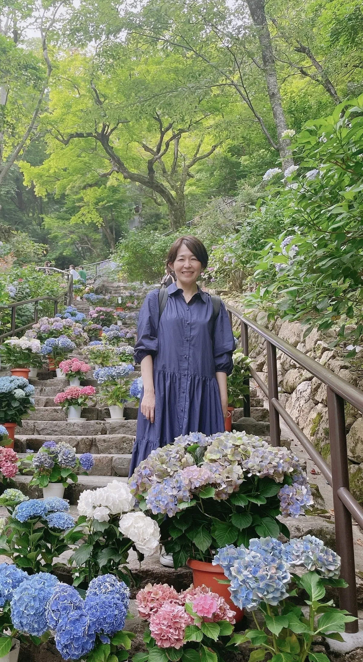 紫陽花色のワンピースで奈良の有名な花寺をの画像_1