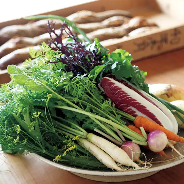 島の生産者が手がけたイタリア野菜は、どれも新鮮で美しい