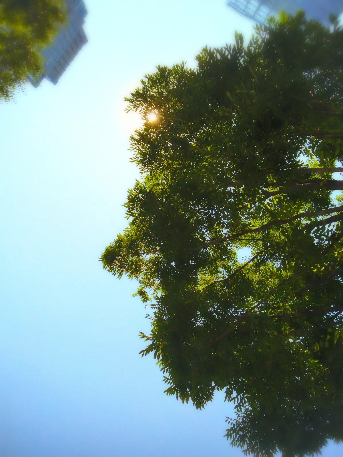 丸の内、快晴、猛暑日の空