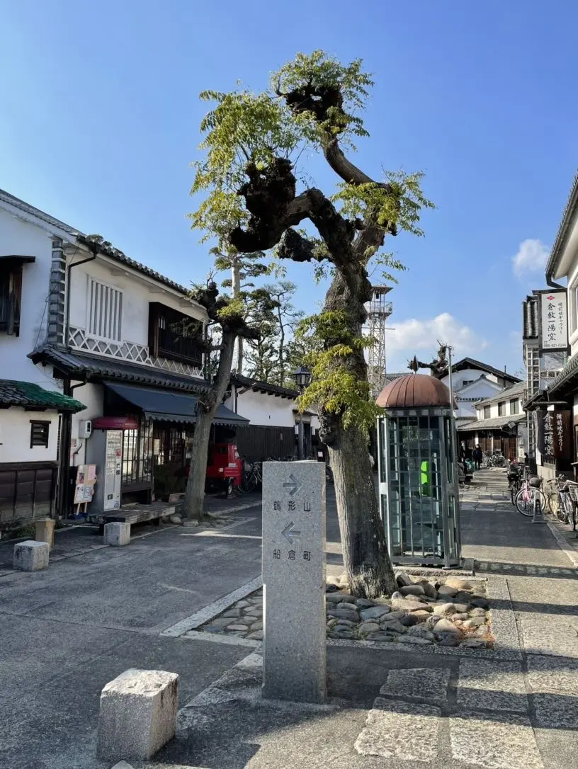 あけましておめでとうございます♬私のお正の画像_7