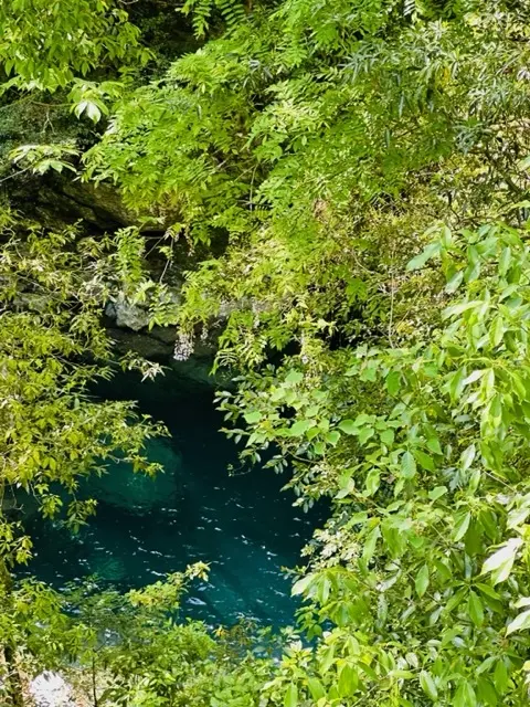 奇跡の清流（高知・仁淀川）へ、仁淀ブルーの画像_8