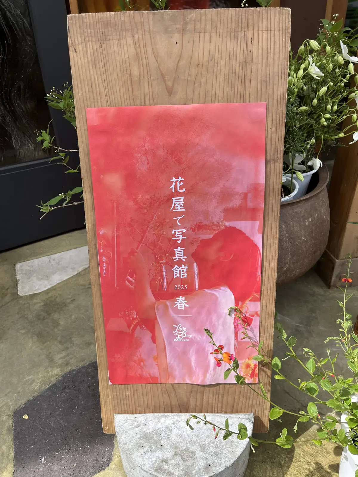 花屋で写真館の画像_2