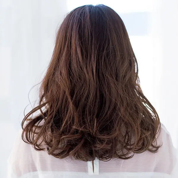 ロングヘア　バック