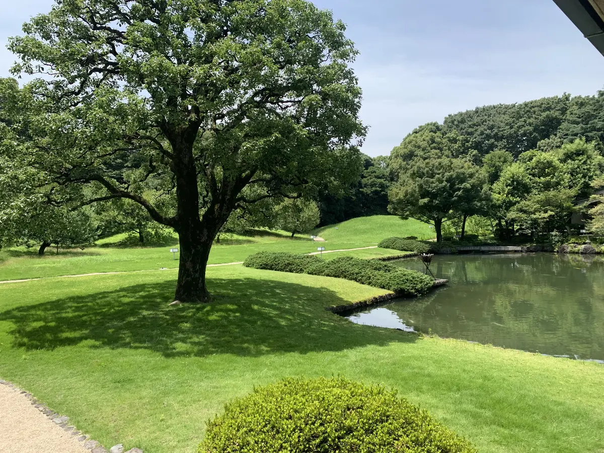 和風別館　遊心亭前　池