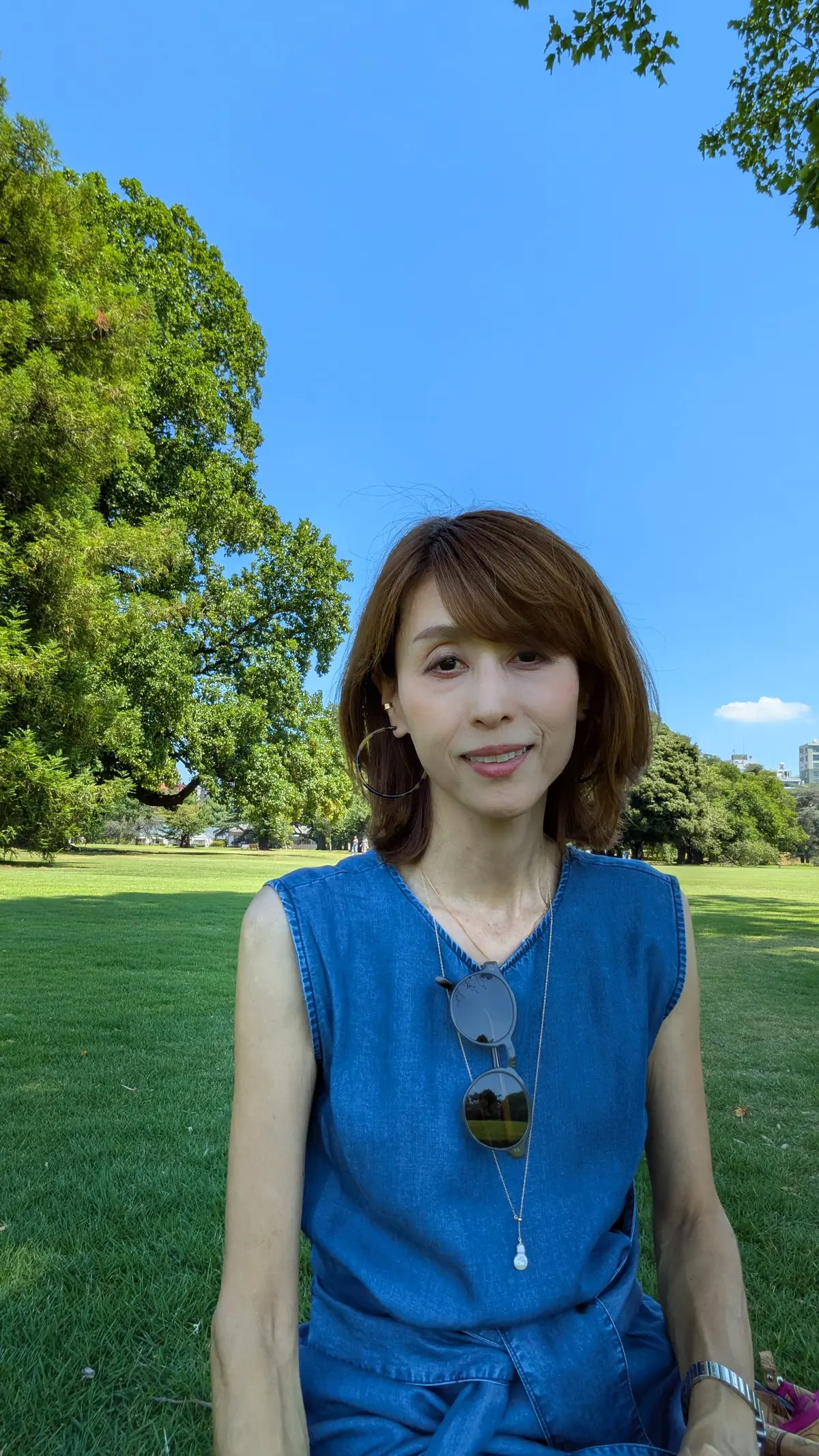 新宿御苑　千駄ヶ谷門　木漏れ日　芝生広場　プラタナス並木　ユリノキ　ひと休み