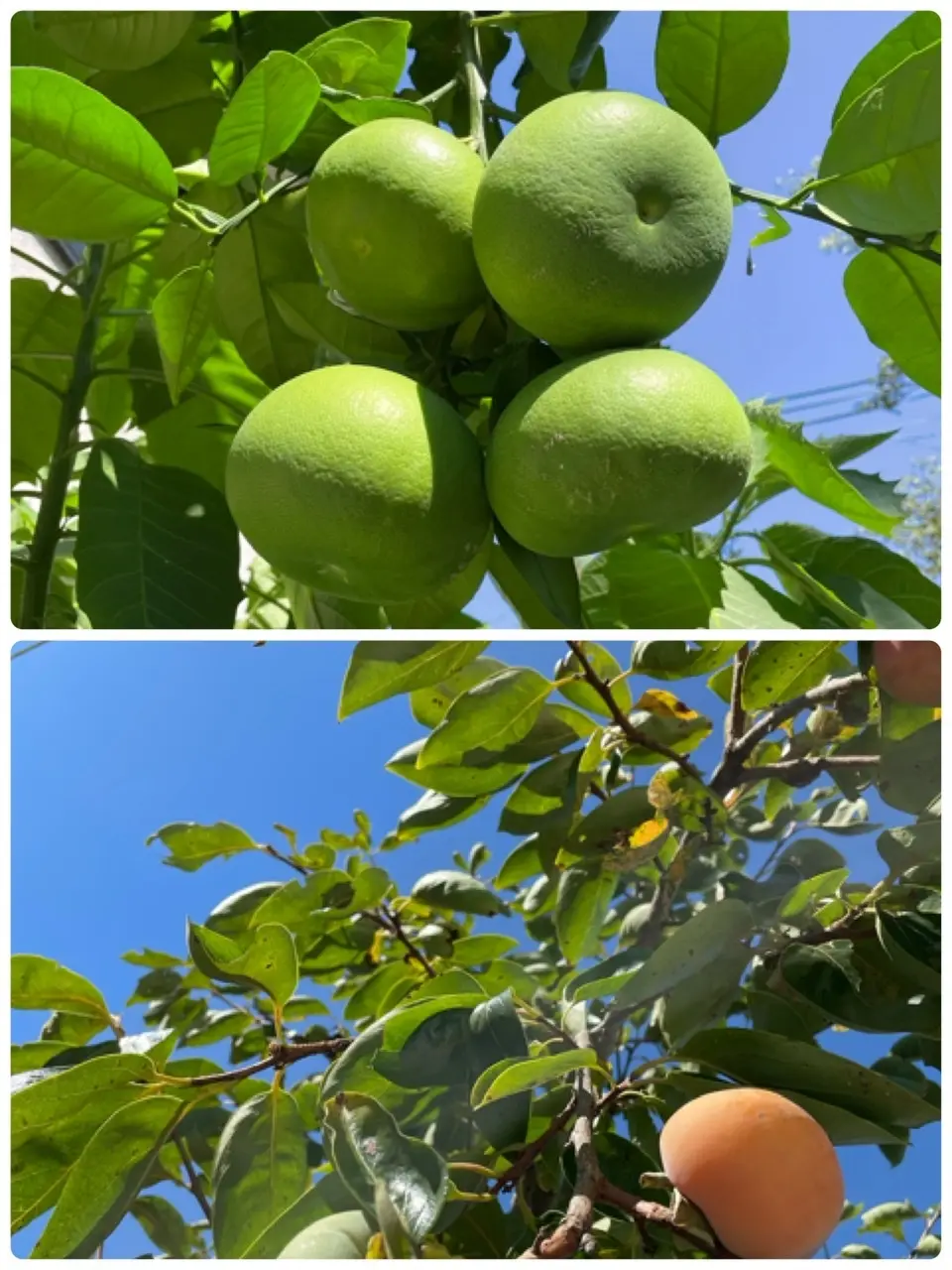 時間の使い方の画像_4