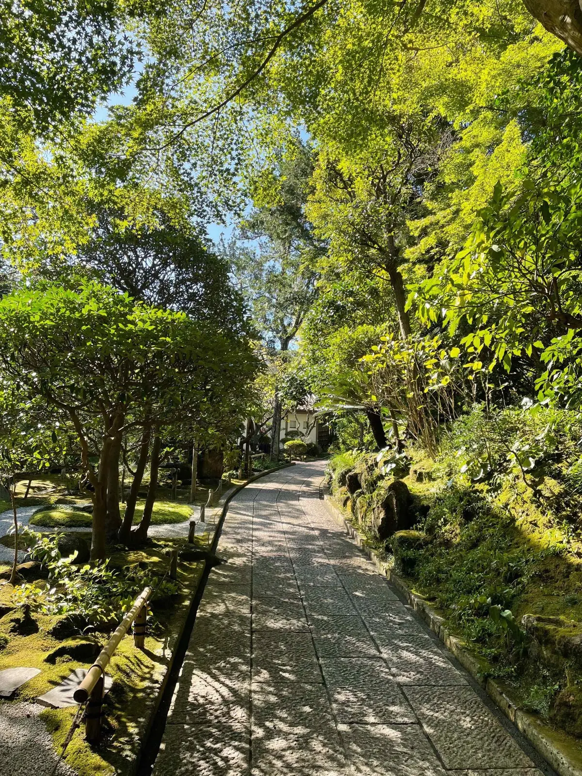 運動を兼ねて、いざ鎌倉報国寺への画像_4