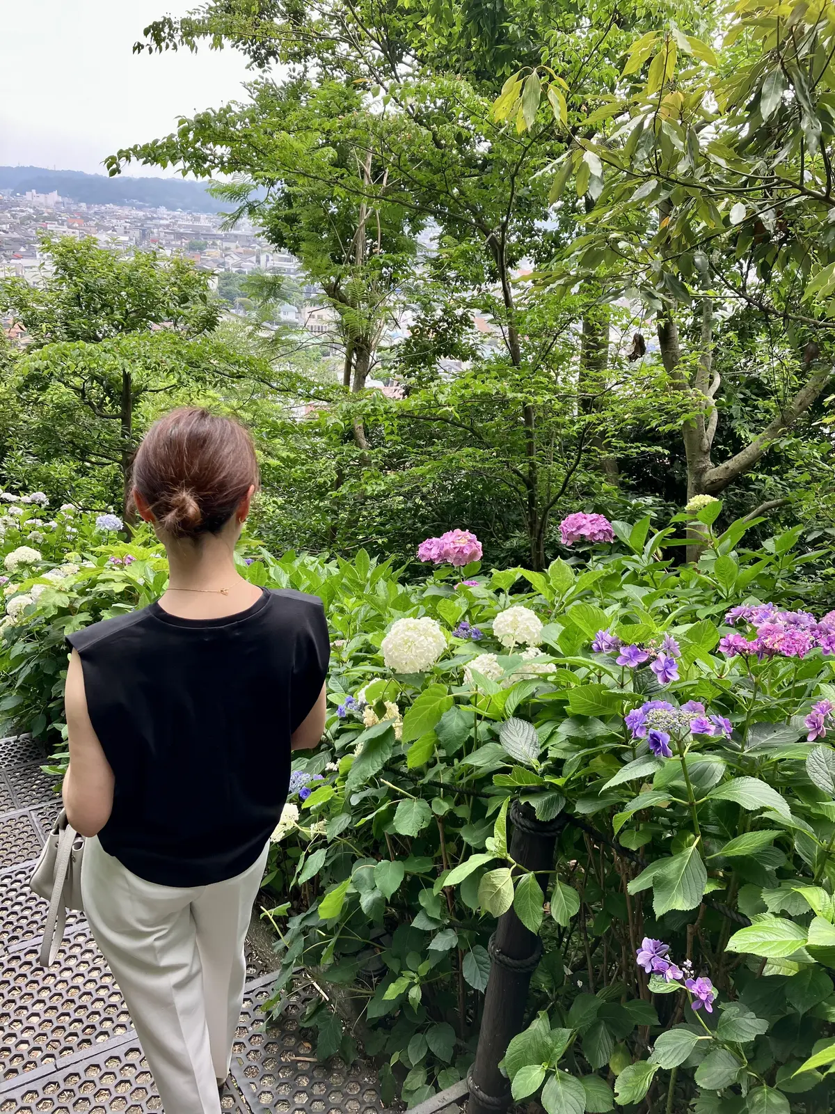 長谷寺紫陽花♡