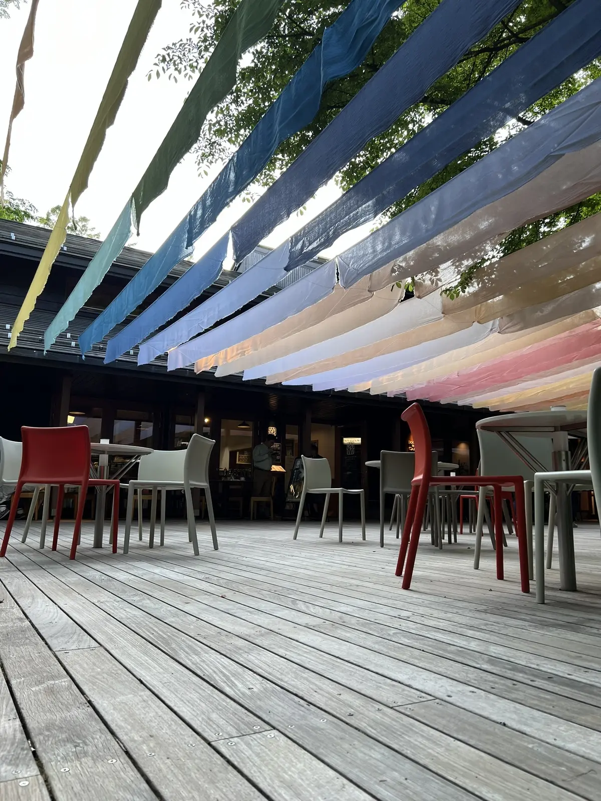 ハルニレテラス