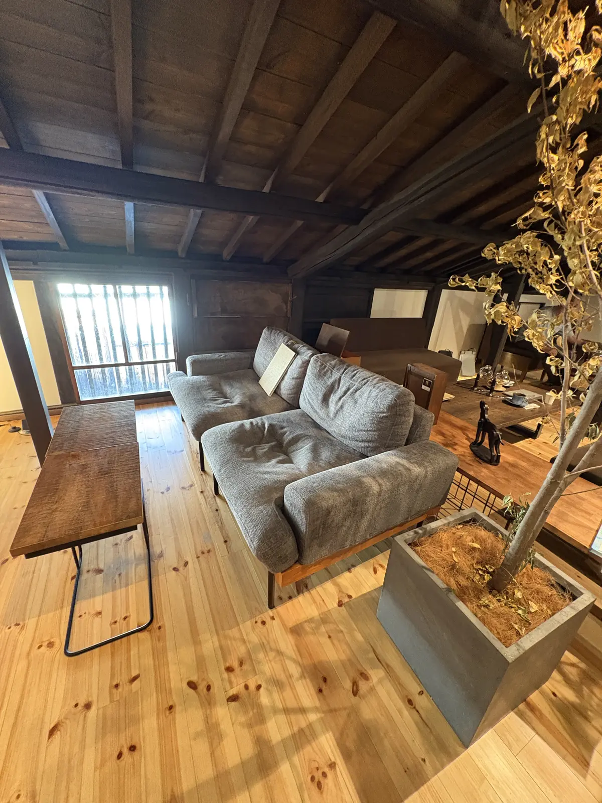 近江八幡さんぽと看板犬がいる「仁之助珈琲の画像_10