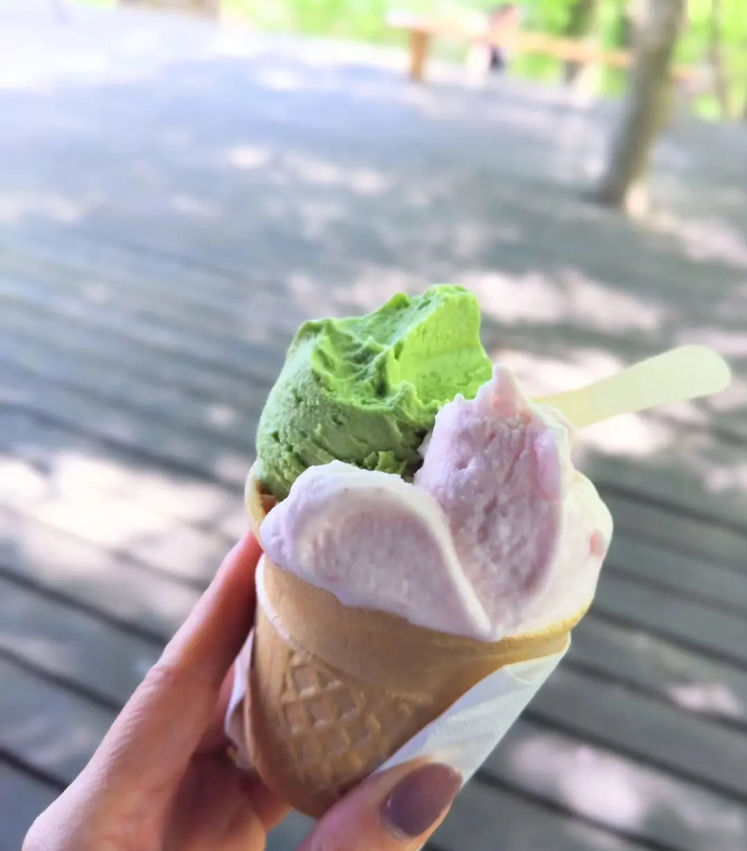 手作りアイスクリーム　松ぼっくり