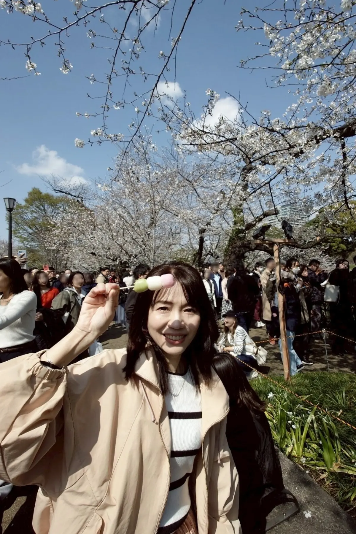 千代田のさくらまつり