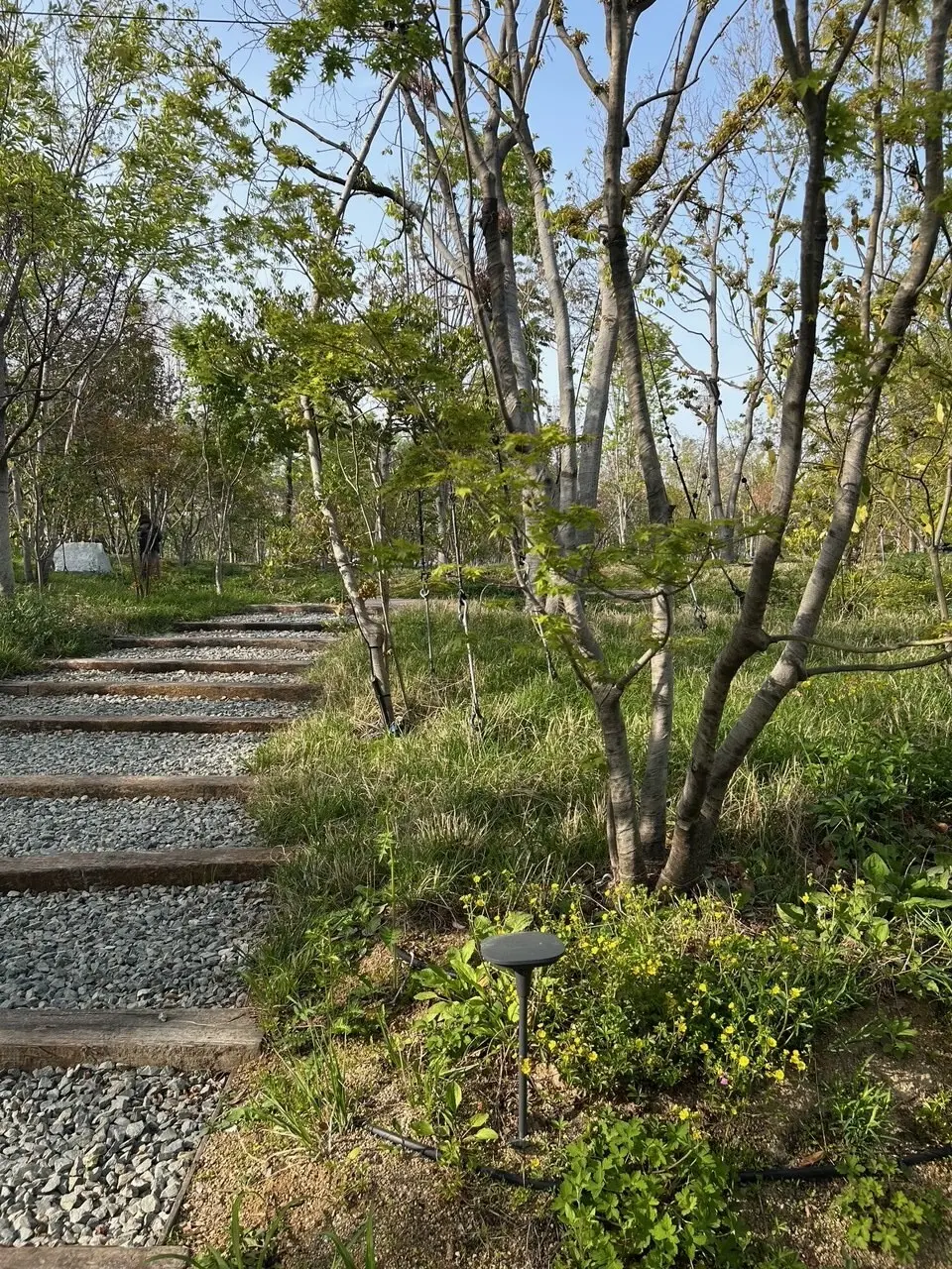 大阪・関西 万博