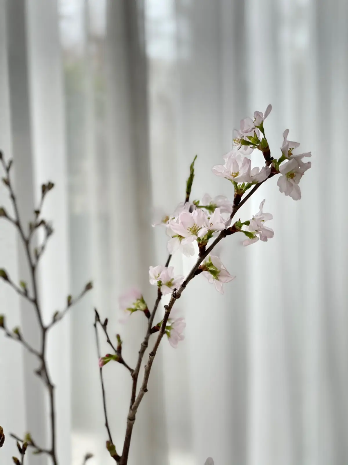 カジュアルご近所コーデの画像_4