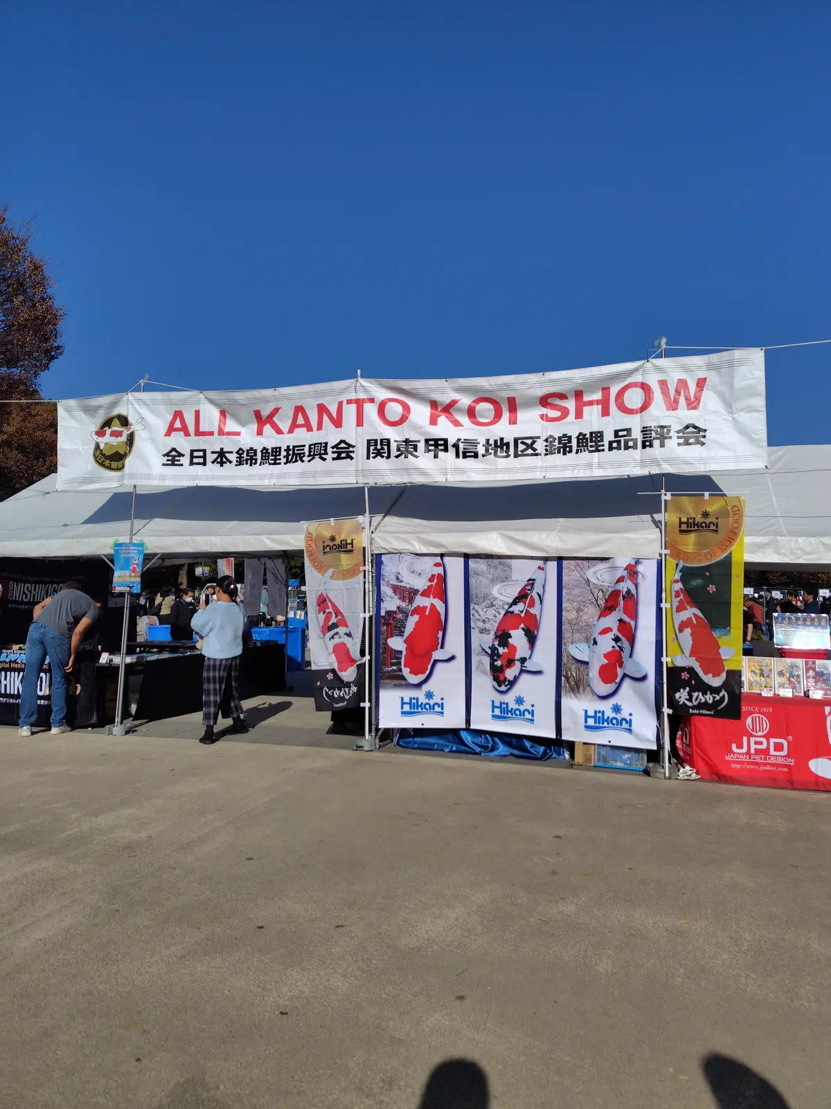 スカーフスタイルで紅葉の上野&老舗グルメの画像_10