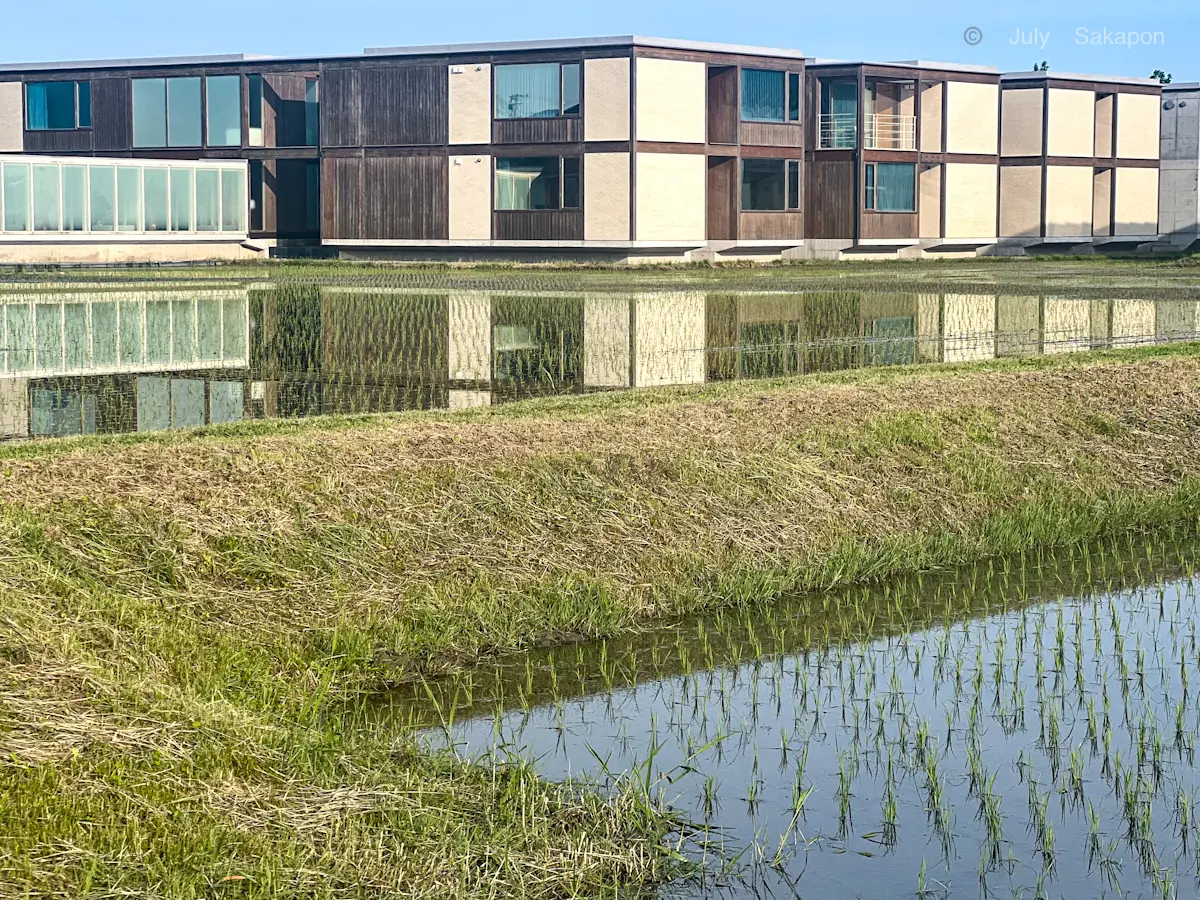 【さかぽんの冒険】カエルのオーケストラとの画像_2