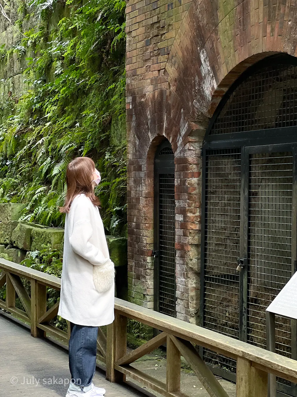 【さかぽんの冒険】前編☆無人島で奇跡のラの画像_12