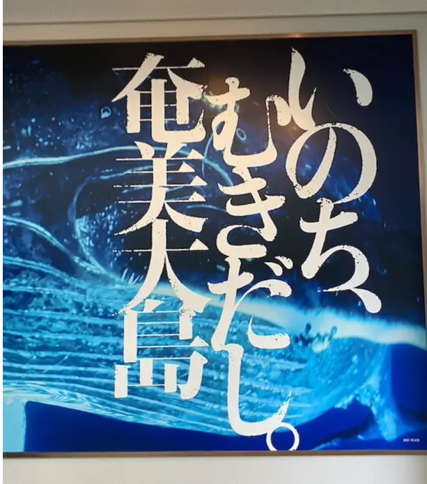 夏の終わりに奄美大島へ行ってきましたの画像_1