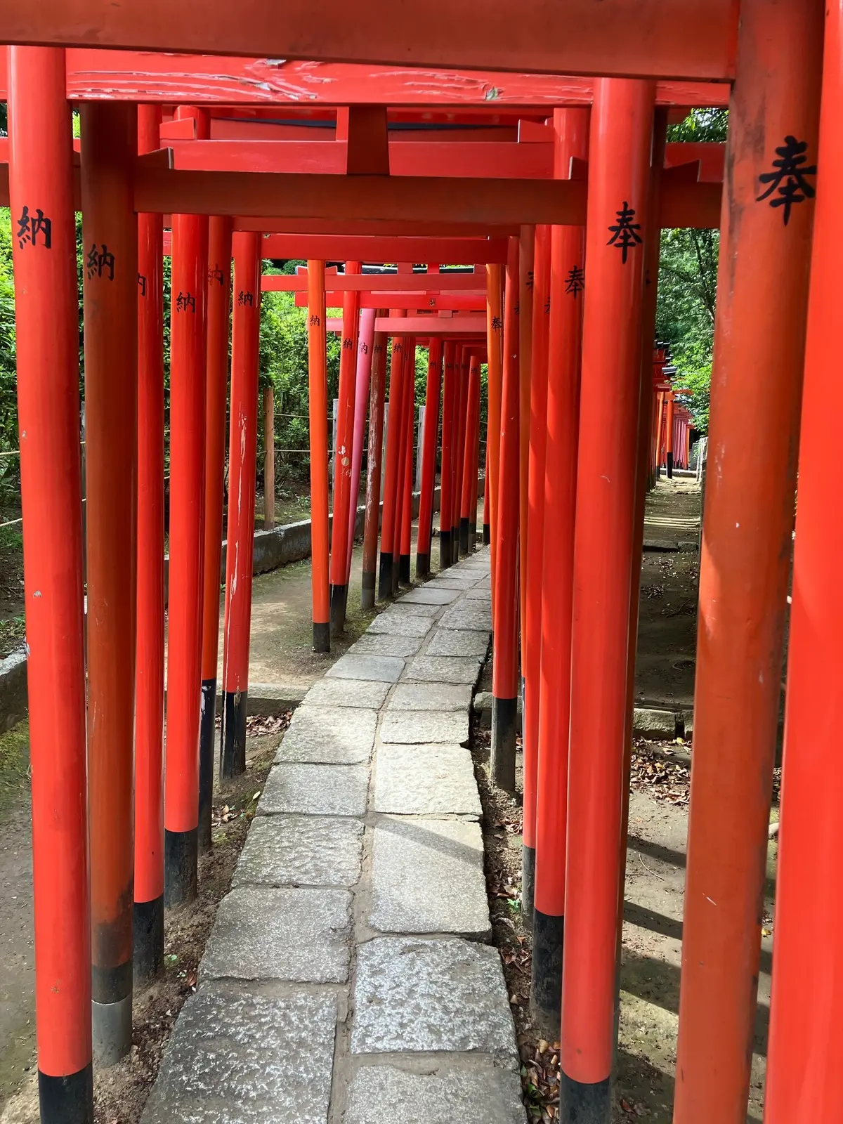 夏詣　根津神社　かざくるま祭り 千本鳥居　銭湯カフェ　MIYANOYU 宮野湯　神社　御朱印　御朱印散歩 切り絵御朱印　カフェ MATCHA&ESPRESSO MIYANO-YU