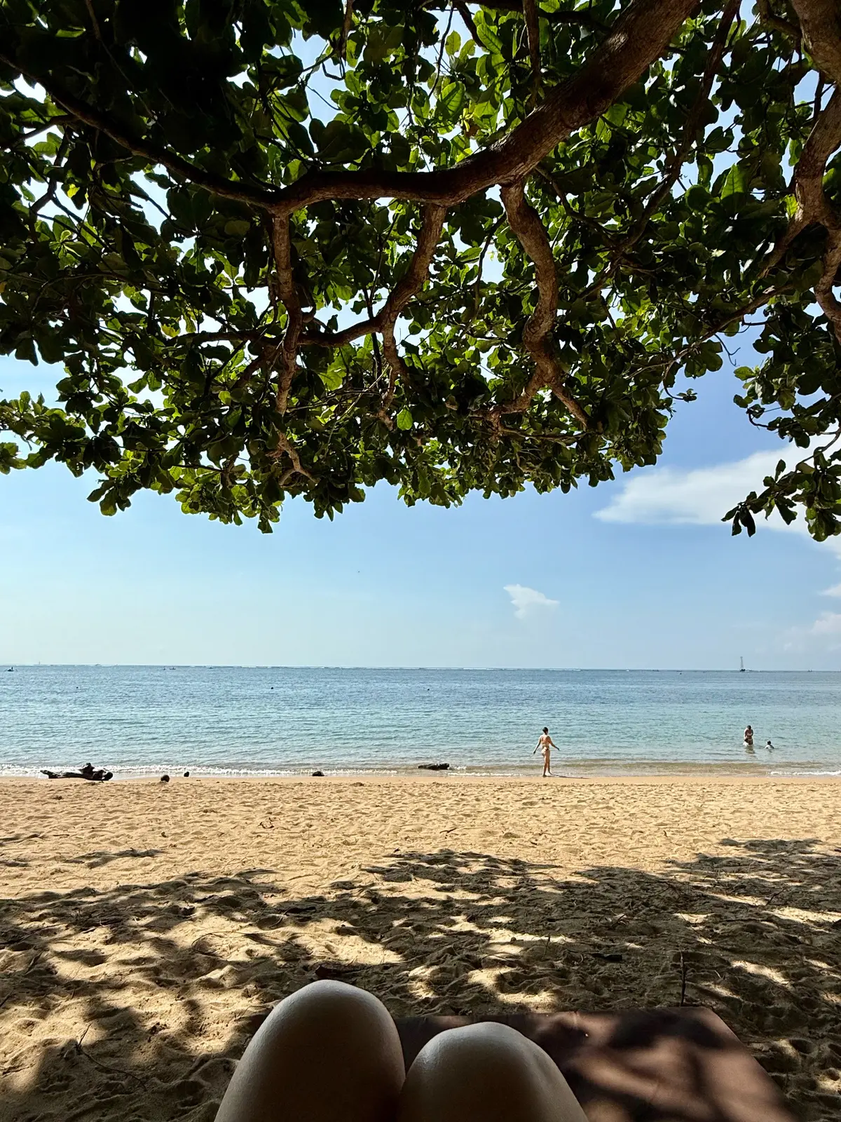 バリ島　サヌール　50代夫婦旅行　BALI 　プラマサヌールビーチホテル　PRAMA SANUR BEACH BALI　プライベートビーチ　サヌールビーチ