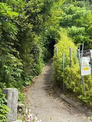 新緑眩しい鎌倉ハイキングに出掛けませんかの画像_9