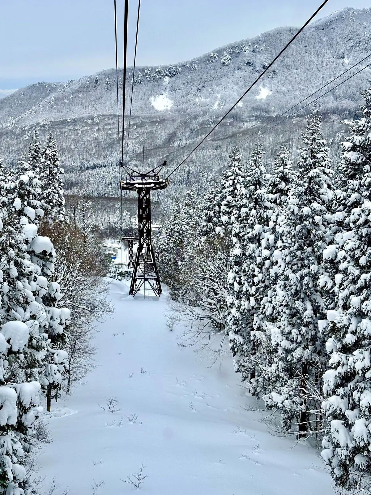 樹氷と美肌の湯を楽しむ♡山形県蔵王への旅の画像_35