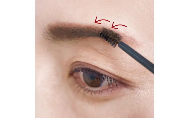 毛流れに逆らい、眉の根元から前へ掘り起こすようにつけるのがコツ。一本一本にコシが出て、若々しく。