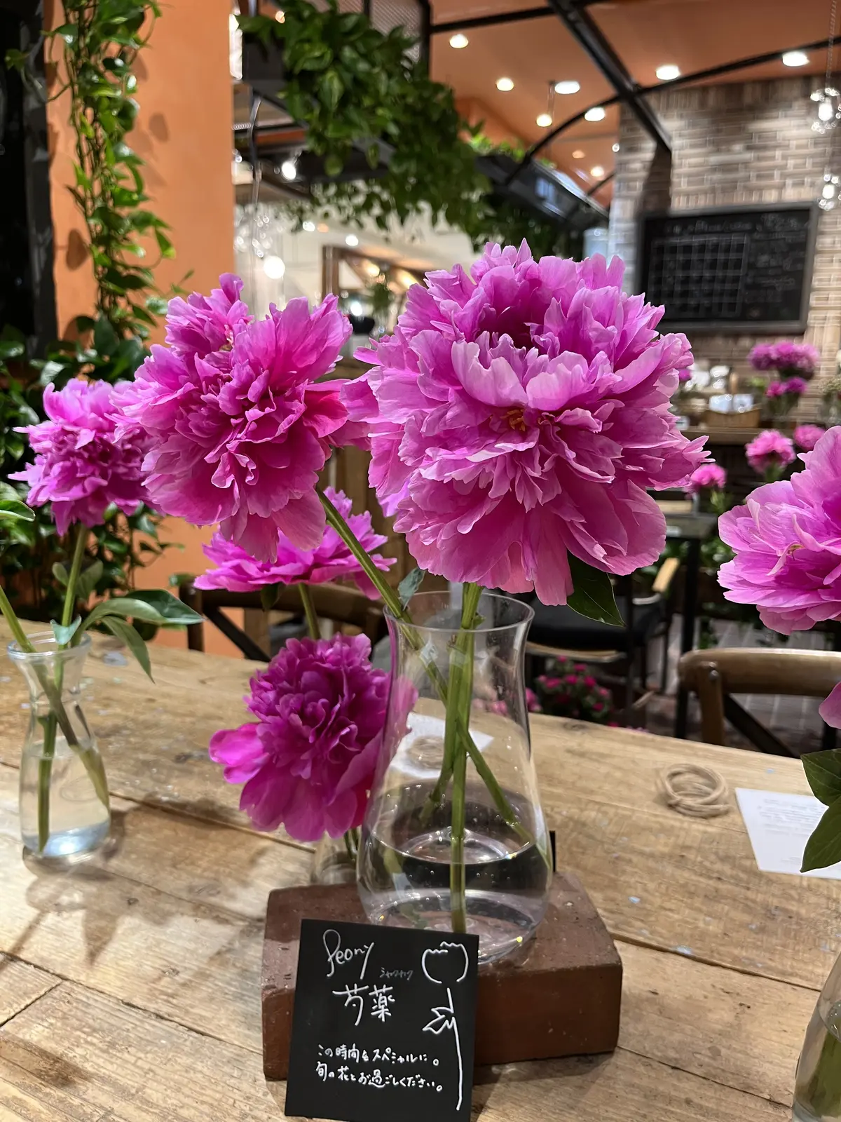 今が旬と言えばの画像_4