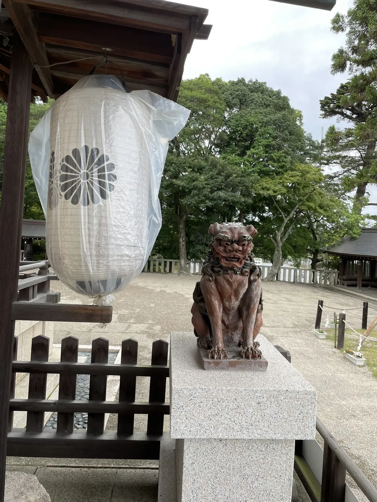 大草直子さんコラボの揺れるワンピースでパの画像_9