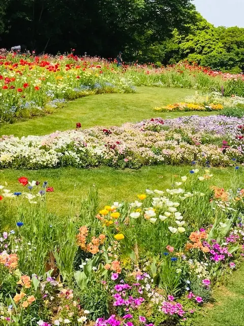 ＊里山ガーデンフェスタ＊Garden Nの画像_2