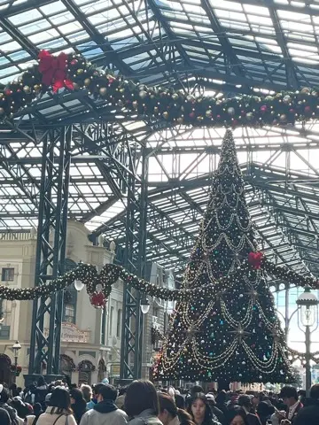 アラフィー　変化した夢の国での過ごし方♪の画像_2