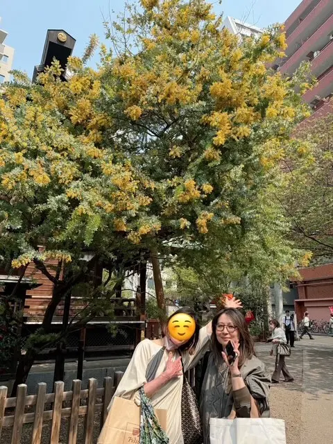 蔵前　蔵前神社　ミモザ　天丼　浅草　天ぷら　葵丸進　菓子屋シノノメ　シノノメ製ベーカリー　シノノメ製パン所　グルメ　下町グルメ　パン　街歩き　観光　老舗　カフェ　東京　東京のブルックリン　焼き菓子　ノリタケ　喫茶半月　スィーツ　ドルチェ　ChigayaBakery　浅草花菓匠 浅草カフェ 蔵前カフェ 和カフェ 浅草 カフェ巡り　ロシアケーキ レトロクッキー　クッキー