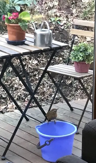 ◯我が家の冬の風景◯の画像_8