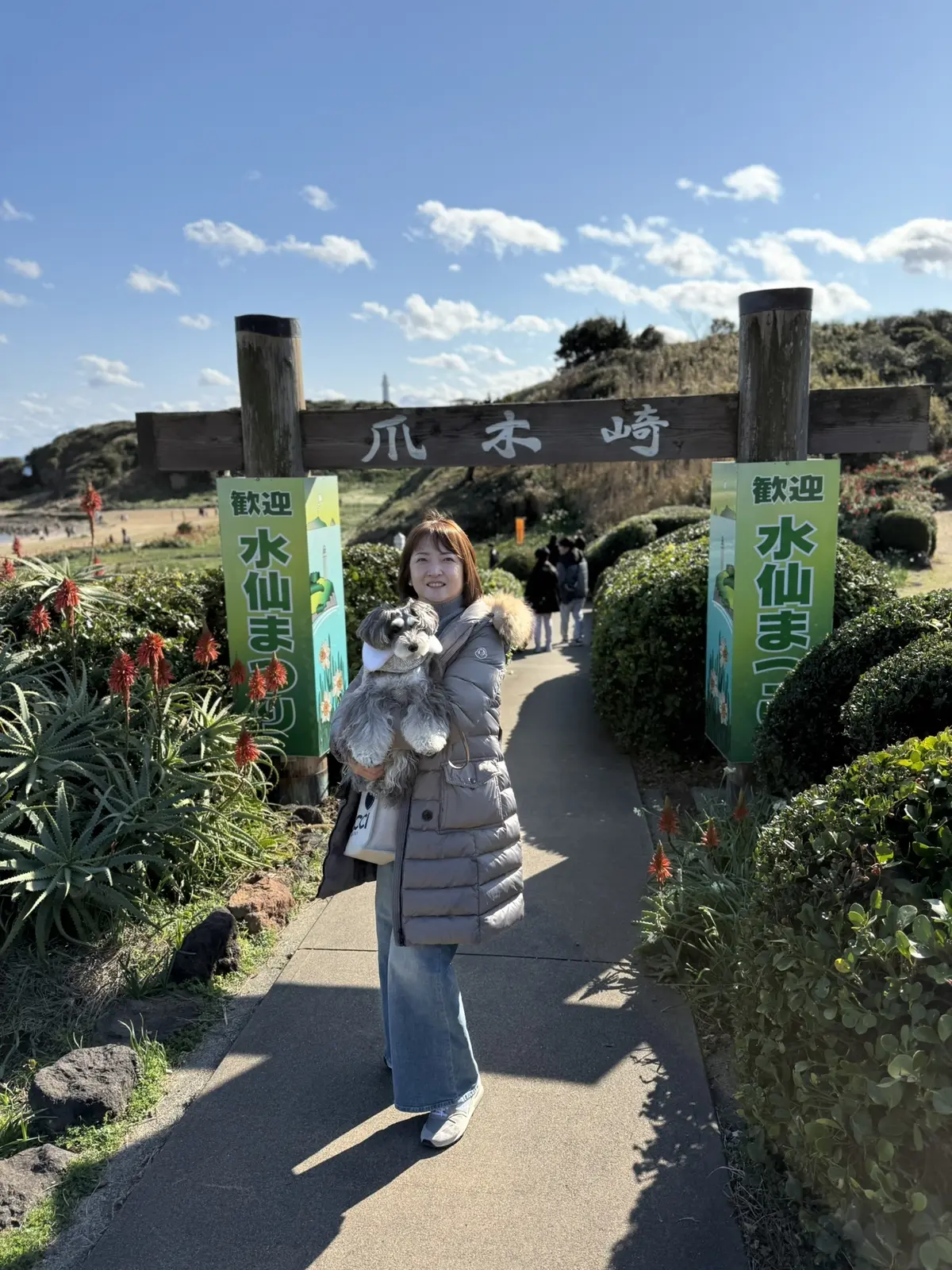 水仙まつり　梅澤千佳子