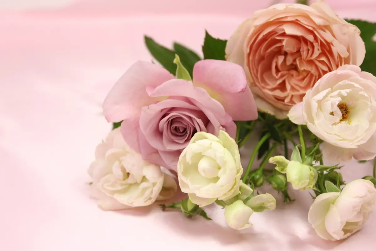 50代女性のホンネ：ホントは自慢したいこの画像_3