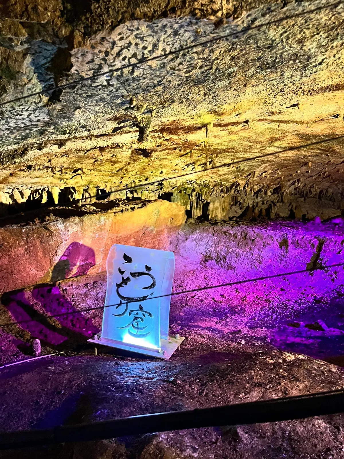 こうもりがぶら下がっているみたい！パープルできれい！