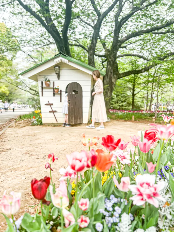 【昭和記念公園】チューリップ巡りました🌷の画像_5
