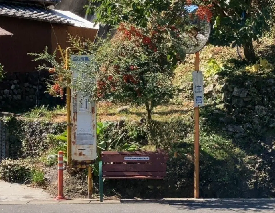 高知やき！ 盛り沢山な大人女子旅になったの画像_14